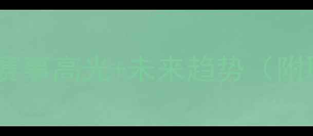 图片 🔥中国职业羽毛球崛起全：训练秘籍+赛事高光+未来趋势（附职业发展指南）体坛新势力国羽成长记