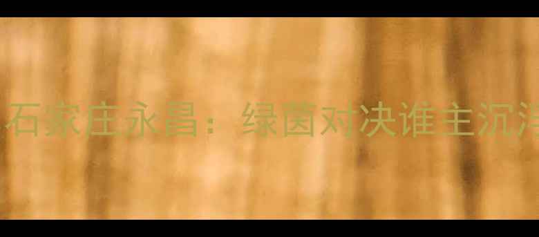 图片 🔥中超焦点战｜大连人队vs石家庄永昌：绿茵对决谁主沉浮？附深度赛前+赛事预测！