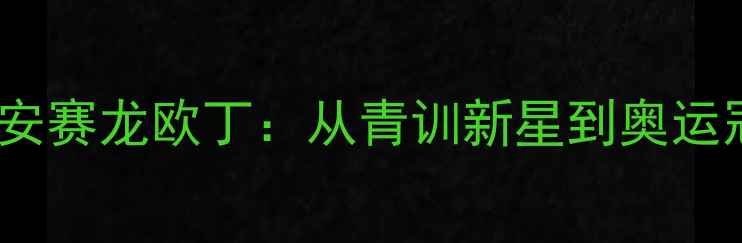 图片 🔥丹麦羽毛球传奇安赛龙欧丁：从青训新星到奥运冠军的逆袭之路🔥1