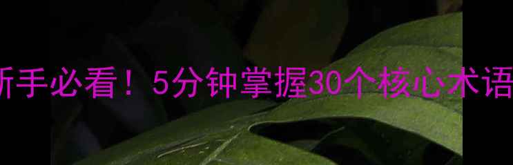 图片 🔥乒乓球专业术语全｜新手必看！5分钟掌握30个核心术语，提升球技快人一步！2