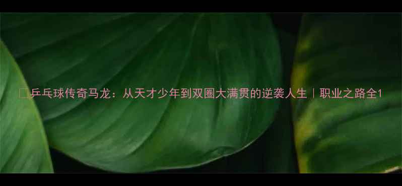 图片 🔥乒乓球传奇马龙：从天才少年到双圈大满贯的逆袭人生｜职业之路全1