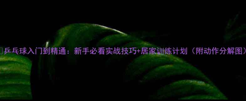 图片 🔥乒乓球入门到精通：新手必看实战技巧+居家训练计划（附动作分解图）