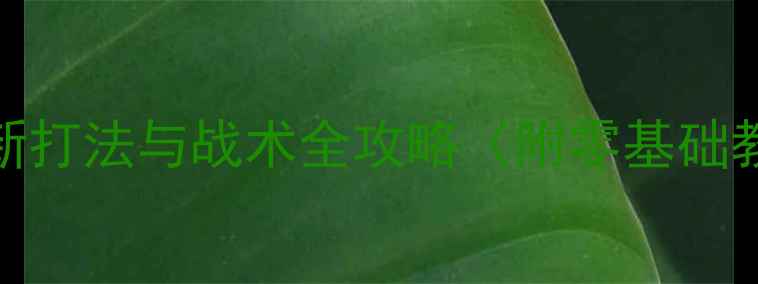 图片 🔥乒乓球入门必看！最新打法与战术全攻略（附零基础教学视频+训练计划）🔥1