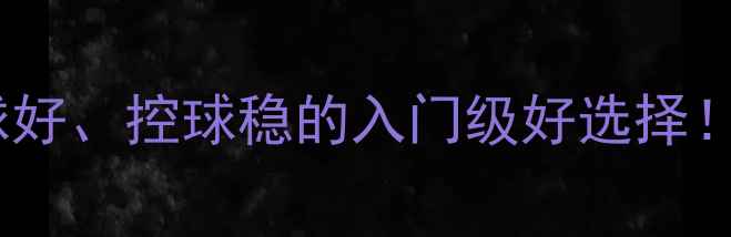 图片 🔥乒乓球底板推荐：吃球好、控球稳的入门级好选择！附选购指南和实战测评2