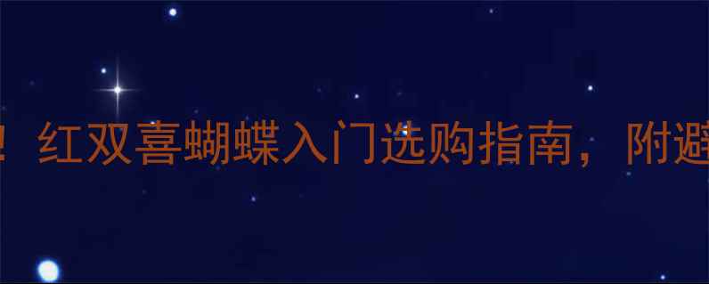 图片 🔥乒乓球底板新手必看！红双喜蝴蝶入门选购指南，附避坑清单+高性价比推荐1