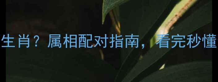 图片 🔥乒乓球是什么生肖？属相配对指南，看完秒懂你的运动天赋！