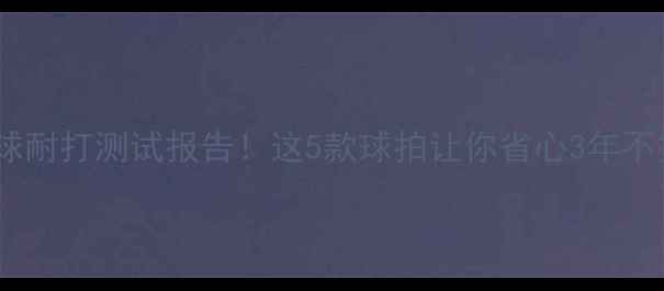 图片 🔥乒乓球耐打测试报告！这5款球拍让你省心3年不换球拍2