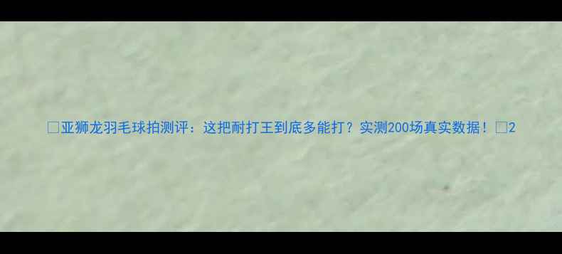 图片 🔥亚狮龙羽毛球拍测评：这把耐打王到底多能打？实测200场真实数据！🏸2