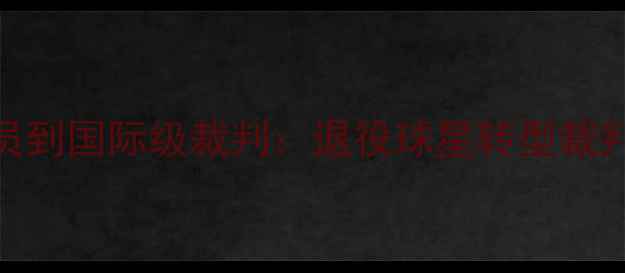 图片 🔥从职业球员到国际级裁判：退役球星转型裁判的进阶之路