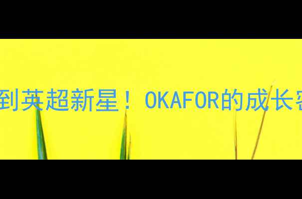 图片 🔥从青训菜鸟到英超新星！OKAFOR的成长密码大公开🔥1