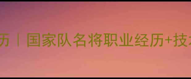 图片 🔥傅金龙羽毛球简历｜国家队名将职业经历+技术（附训练方法）1