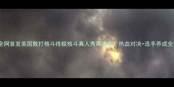 图片 🔥全网首发美国散打格斗终极格斗真人秀高清版！热血对决+选手养成全🔥2
