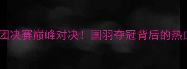 图片 🔥全运会羽毛球男团决赛巅峰对决！国羽夺冠背后的热血故事与幕后花絮1