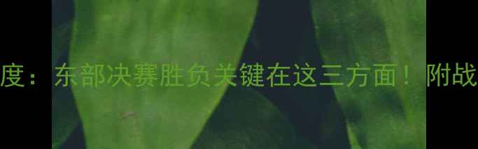 图片 🔥凯尔特人vs热火深度：东部决赛胜负关键在这三方面！附战术分析+数据预测🔥1