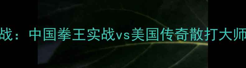 图片 🔥凯文兰德尔曼VS菲多终极之战：中国拳王实战vs美国传奇散打大师，谁将问鼎世界格斗之巅？🔥