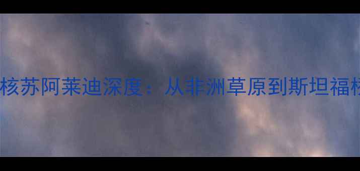 图片 🔥切尔西埃及新核苏阿莱迪深度：从非洲草原到斯坦福桥的成长密码🔥1