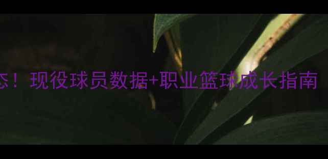 图片 🔥博扬最新动态！现役球员数据+职业篮球成长指南（附训练干货）