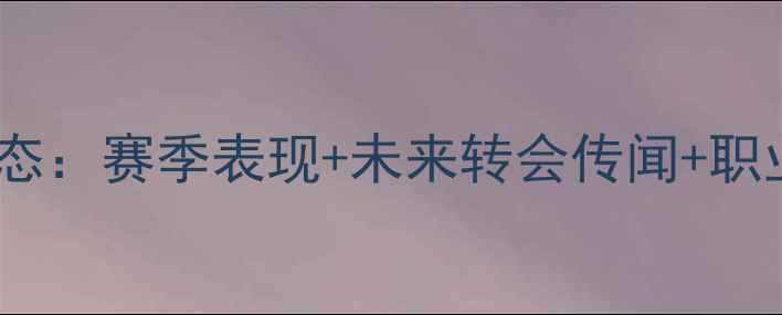 图片 🔥卢卡库最新动态：赛季表现+未来转会传闻+职业发展全追踪🔥1