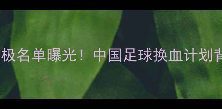 图片 🔥国安归化球员终极名单曝光！中国足球换血计划背后的热血与争议2