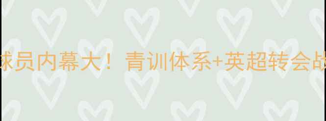 图片 🔥埃弗顿外租球员内幕大！青训体系+英超转会战隐藏玩法全🔥