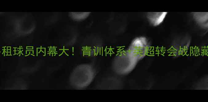 图片 🔥埃弗顿外租球员内幕大！青训体系+英超转会战隐藏玩法全🔥1