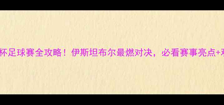 图片 🔥埃菲斯杯足球赛全攻略！伊斯坦布尔最燃对决，必看赛事亮点+观赛指南1