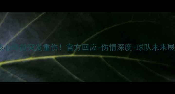 图片 🔥墨尔本城核心球员突发重伤！官方回应+伤情深度+球队未来展望全公开💥1