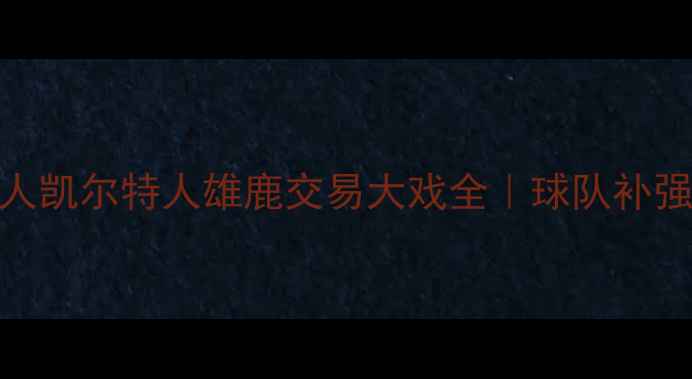 图片 🔥夏季自由球员市场：湖人凯尔特人雄鹿交易大戏全｜球队补强策略+未来3年争冠路线图