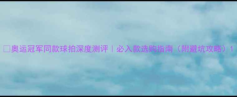 图片 🔥奥运冠军同款球拍深度测评｜必入款选购指南（附避坑攻略）1