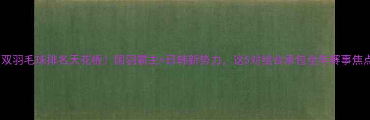 图片 🔥女双羽毛球排名天花板！国羽霸主+日韩新势力，这5对组合承包全年赛事焦点🏆1