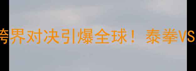 图片 🔥安迪苏瓦VS董文飞：跨界对决引爆全球！泰拳VS综合格斗谁将封神？💥1
