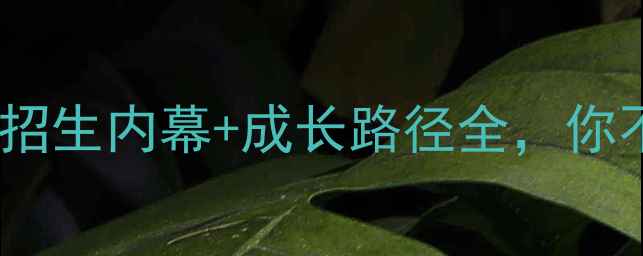 图片 🔥密歇根大学NBA球员！招生内幕+成长路径全，你不知道的校队荣耀故事🏀