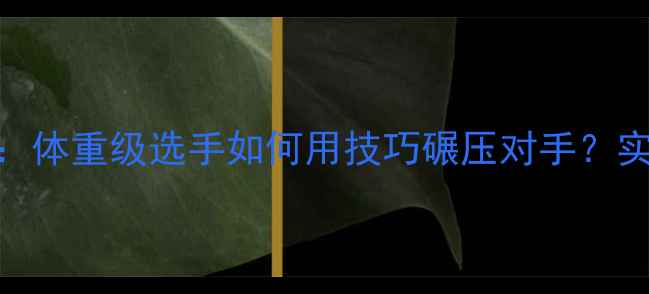 图片 🔥巴西柔术公斤级终极对决：体重级选手如何用技巧碾压对手？实战攻略+装备清单大公开！1