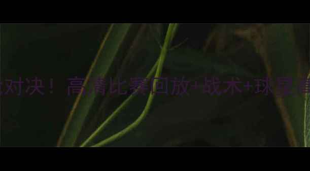 图片 🔥广州恒大全场高能对决！高清比赛回放+战术+球星高光时刻，速看！🔥2