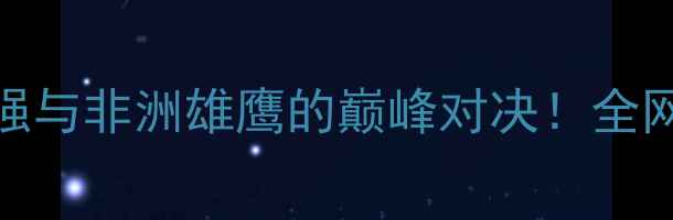 图片 🔥德国vs安哥拉一场欧洲豪强与非洲雄鹰的巅峰对决！全网最全赛前攻略+比赛预测！1