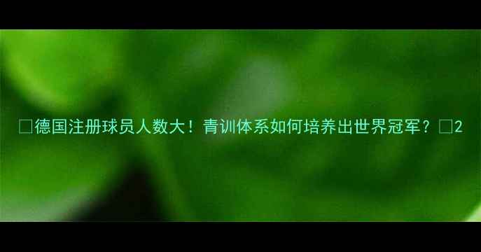 图片 🔥德国注册球员人数大！青训体系如何培养出世界冠军？🔥2
