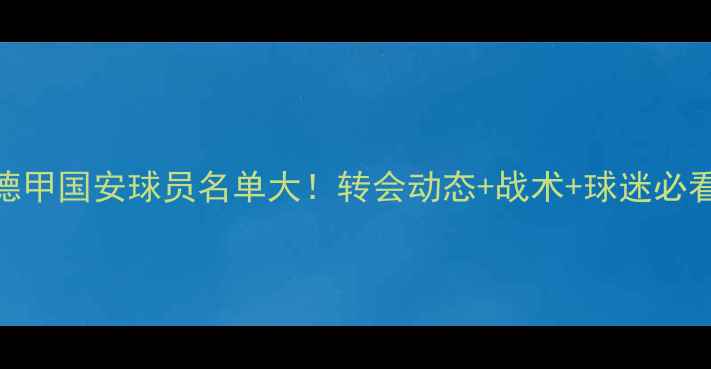 图片 🔥德甲国安球员名单大！转会动态+战术+球迷必看🔥