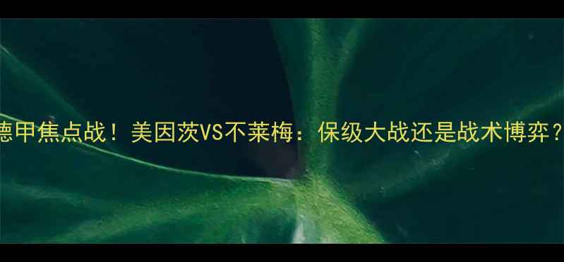 图片 🔥德甲焦点战！美因茨VS不莱梅：保级大战还是战术博弈？🔥