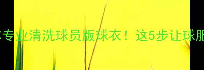 图片 🔥手把手教你专业清洗球员版球衣！这5步让球服寿命翻倍🔥1