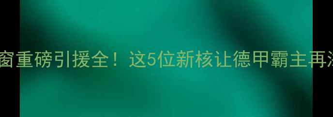 图片 🔥拜仁夏窗重磅引援全！这5位新核让德甲霸主再添杀器💥2
