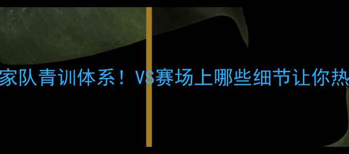 图片 🔥捷克U19国家队青训体系！VS赛场上哪些细节让你热血沸腾？🔥2