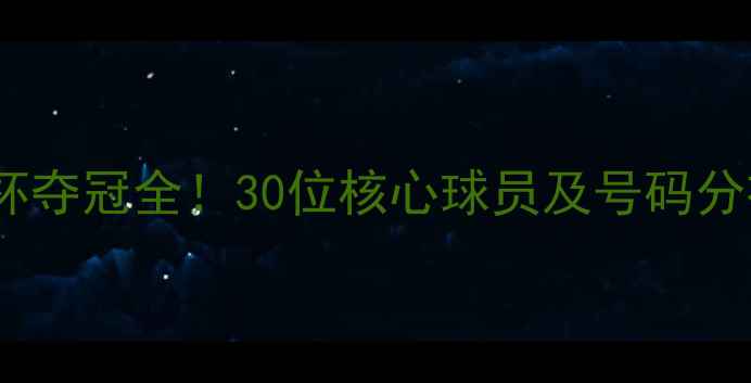 图片 🔥摩洛哥世界杯夺冠全！30位核心球员及号码分布图，速存！1