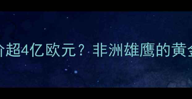 图片 🔥摩洛哥队总身价超4亿欧元？非洲雄鹰的黄金阵容养成史！🔥