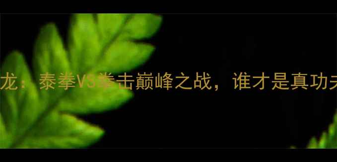 图片 🔥播求VS一龙：泰拳VS拳击巅峰之战，谁才是真功夫王者？🔥2