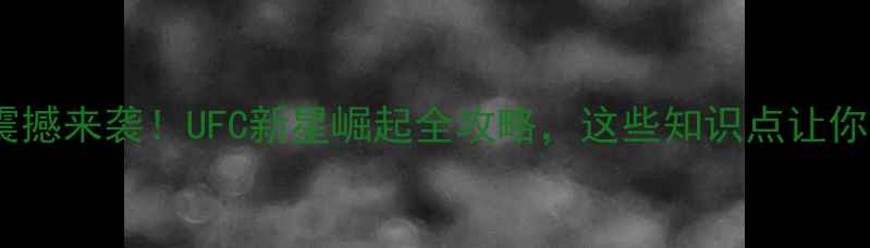 图片 🔥斯宾塞拳击赛事震撼来袭！UFC新星崛起全攻略，这些知识点让你秒变boxing粉丝！1
