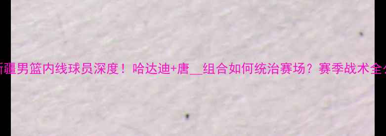 图片 🔥新疆男篮内线球员深度！哈达迪+唐__组合如何统治赛场？赛季战术全公开