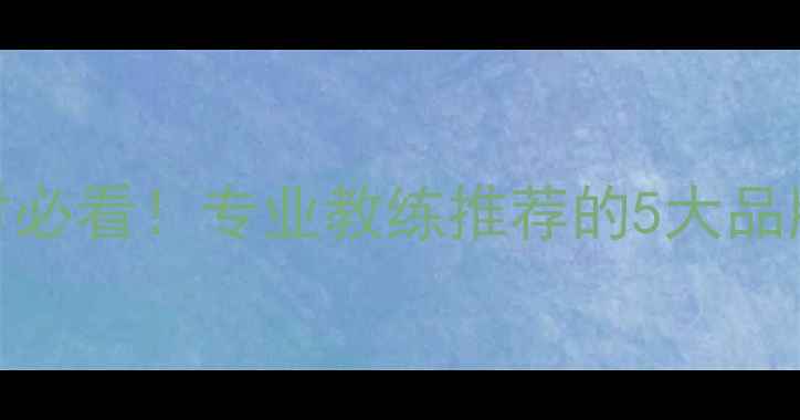 图片 🔥日本乒乓球器材必看！专业教练推荐的5大品牌+购买避坑指南1