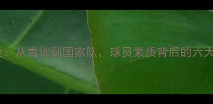 图片 🔥日本足球崛起全：从青训到国家队，球员素质背后的六大核心要素！🇯🇵1