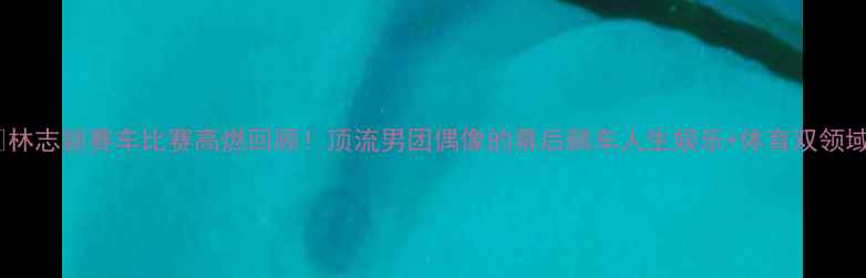 图片 🔥林志颖赛车比赛高燃回顾！顶流男团偶像的幕后飙车人生娱乐+体育双领域1