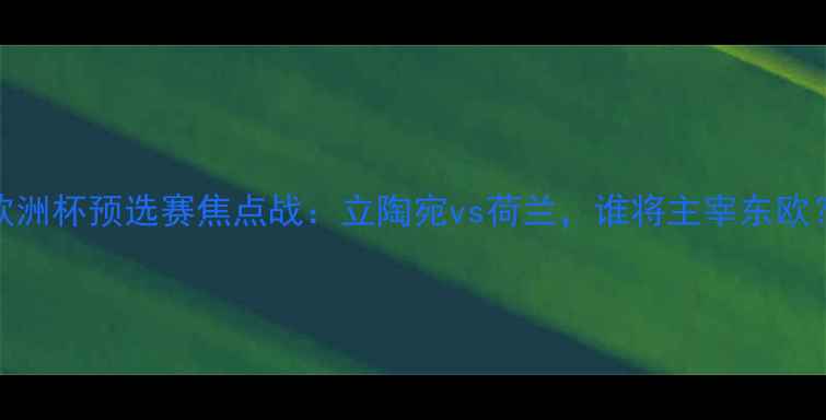 图片 🔥欧洲杯预选赛焦点战：立陶宛vs荷兰，谁将主宰东欧？🔥